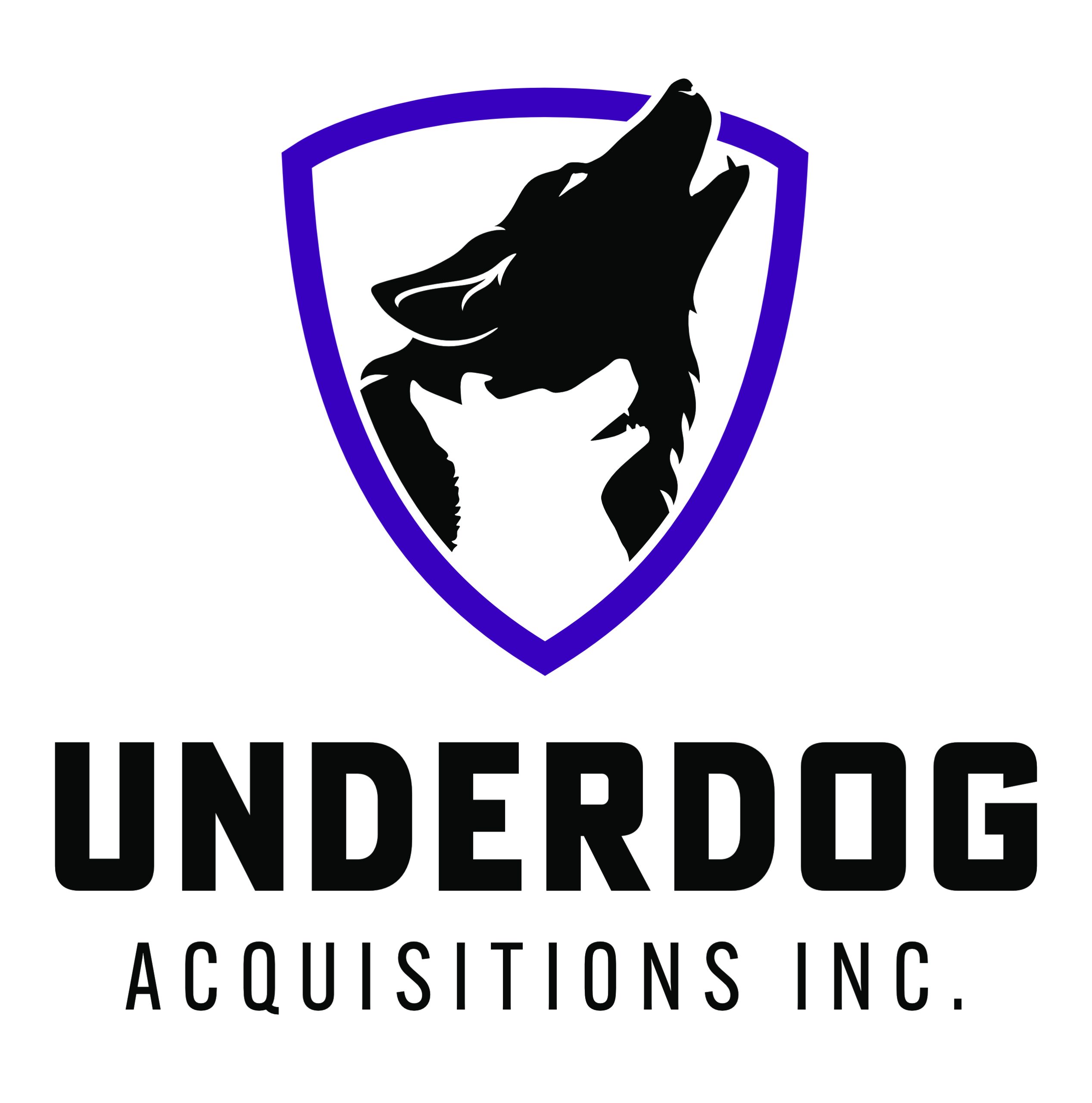 Underdog Acquisitions